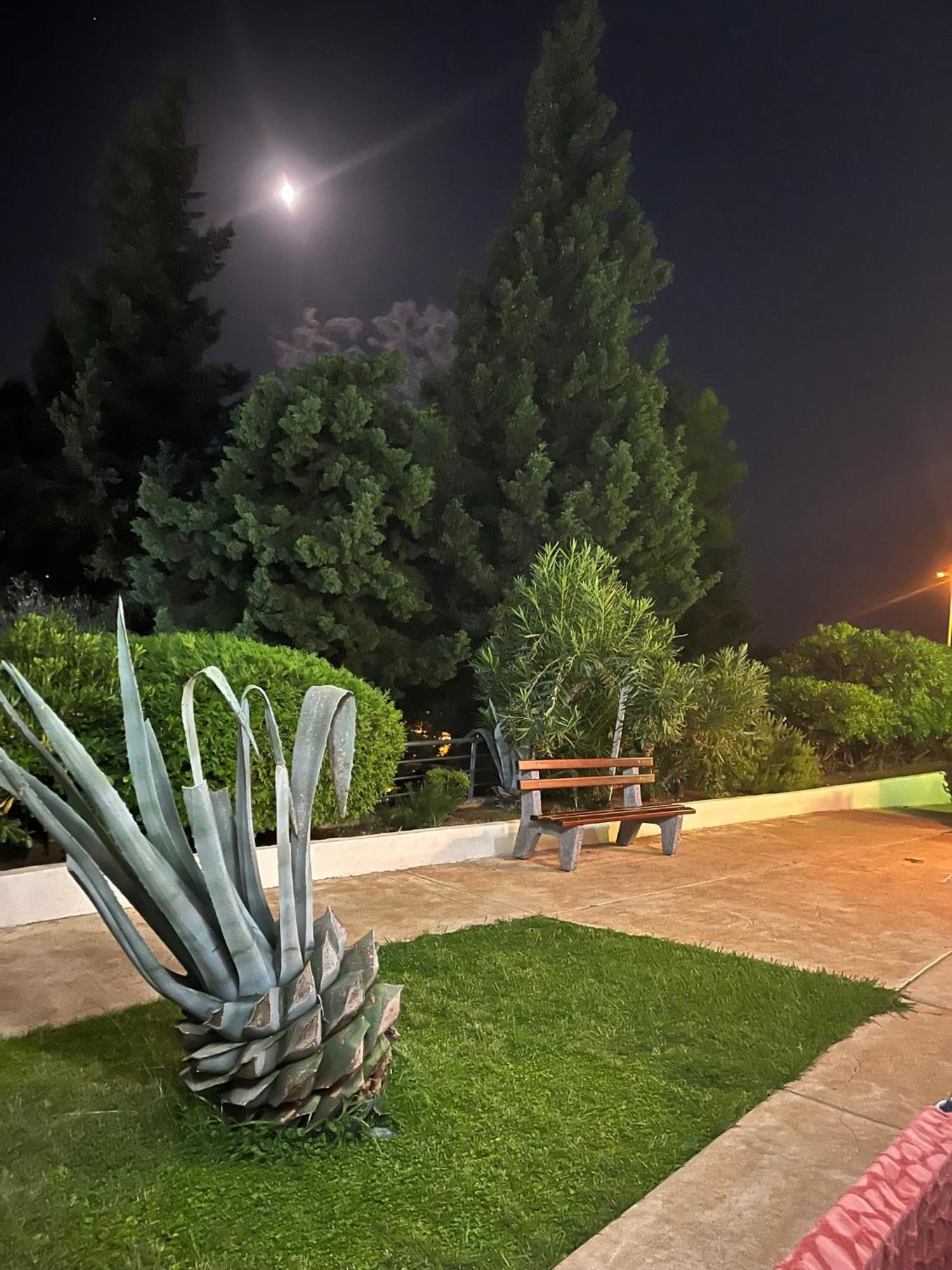 Adriatic Apartman Bečići Kültér fotó